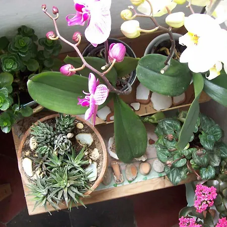 Porta Del Mare 3* بورتوفيرّايو