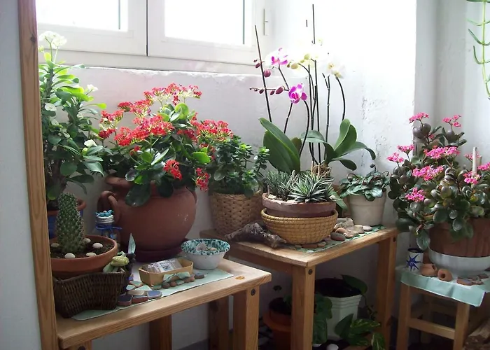 Guest house Porta Del Mare