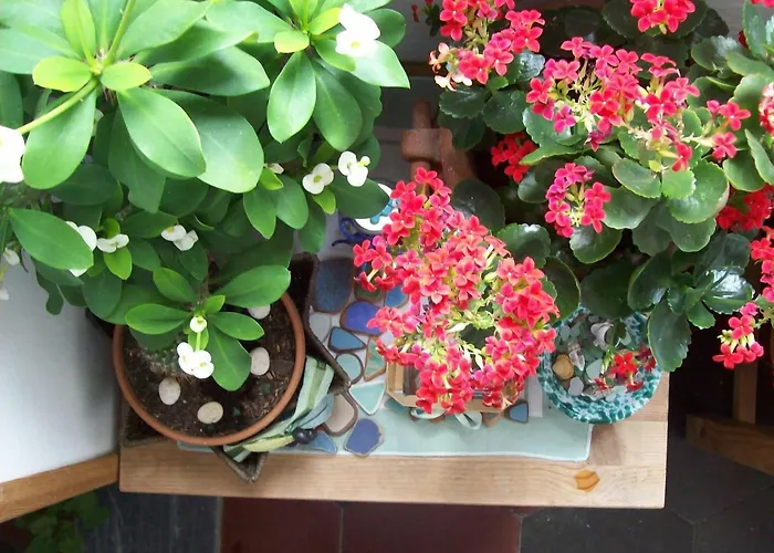 בית הארחה Porta Del Mare פורטופראיו