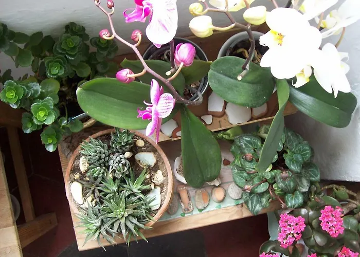 Porta Del Mare 3* Portoferraio